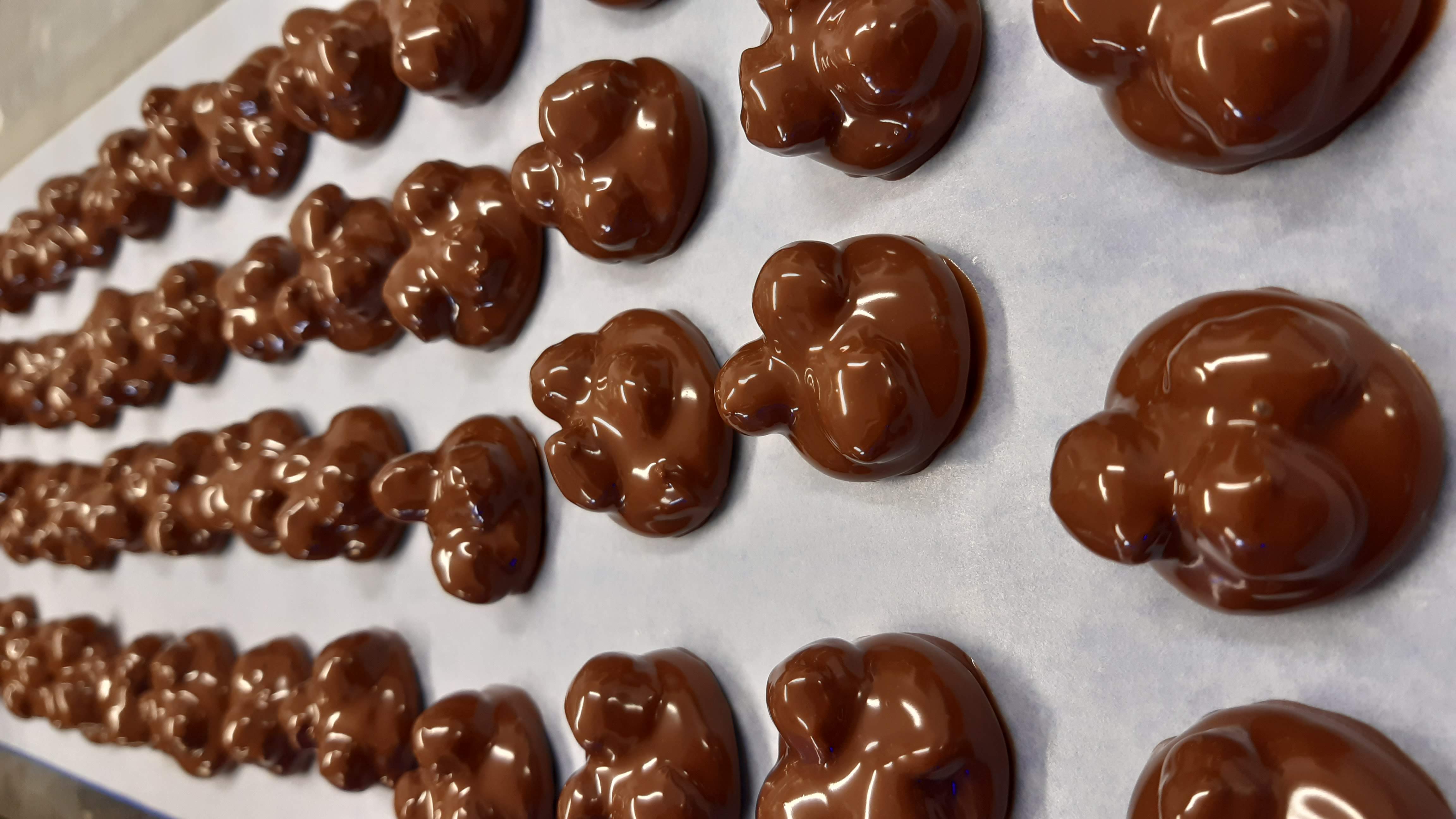 Bilder L'Atelier Chocolat Sàrl