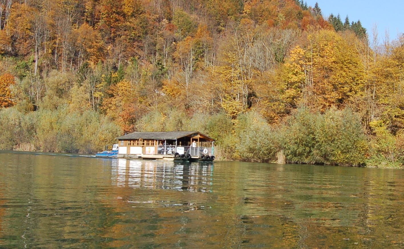 Schifffahrt u Floßfahrt Aigner, Rodelsbach 3 in Großraming