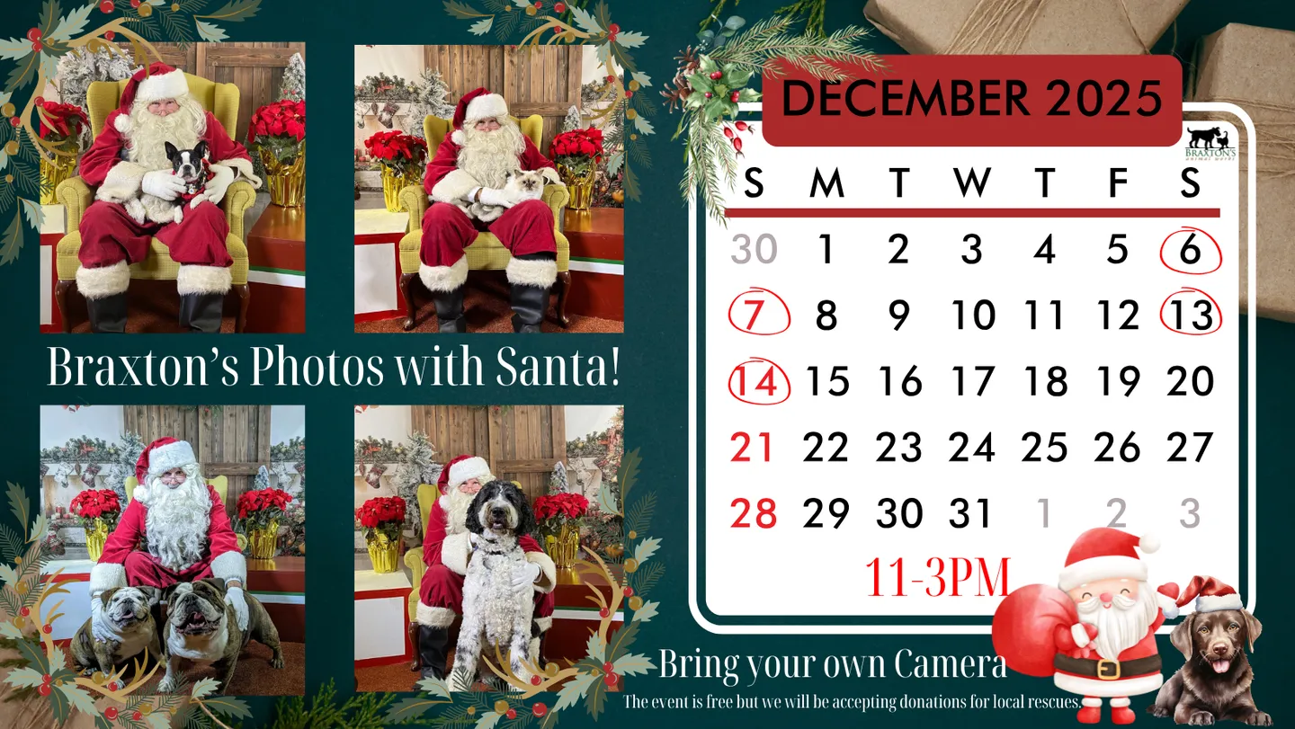 Image of Local Pet Event Santa Paws Is Coming to Town! Pet Photos at Braxton's! Nearby
