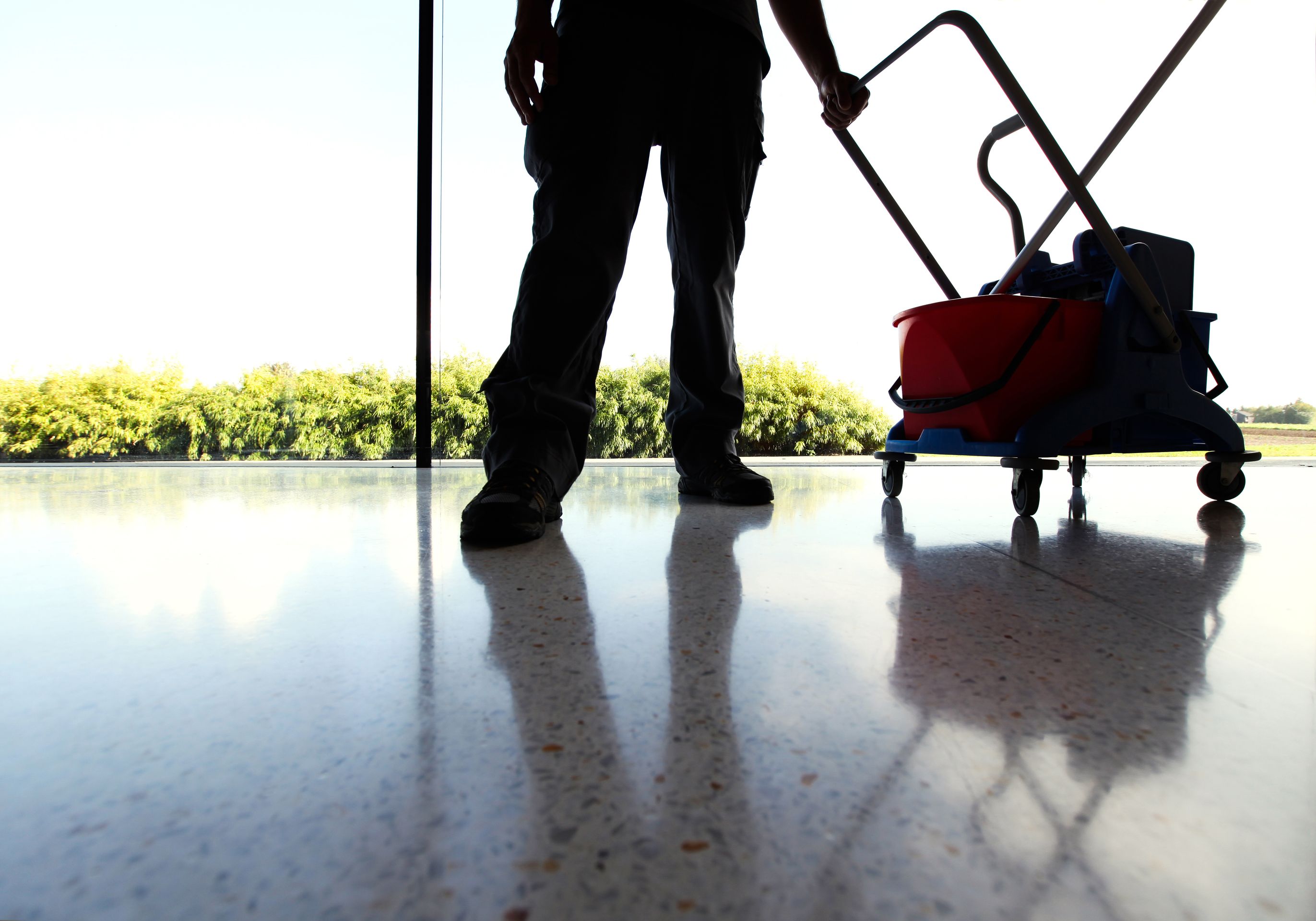 Bilder LGE SA (La Genevoise d'Entretien SA)