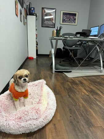 Images James Parker - State Farm Insurance Agent