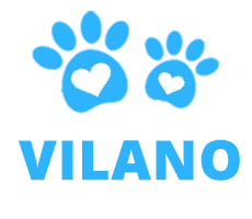 Image of Local Pet Event Summer Group Dog Hikes Nearby