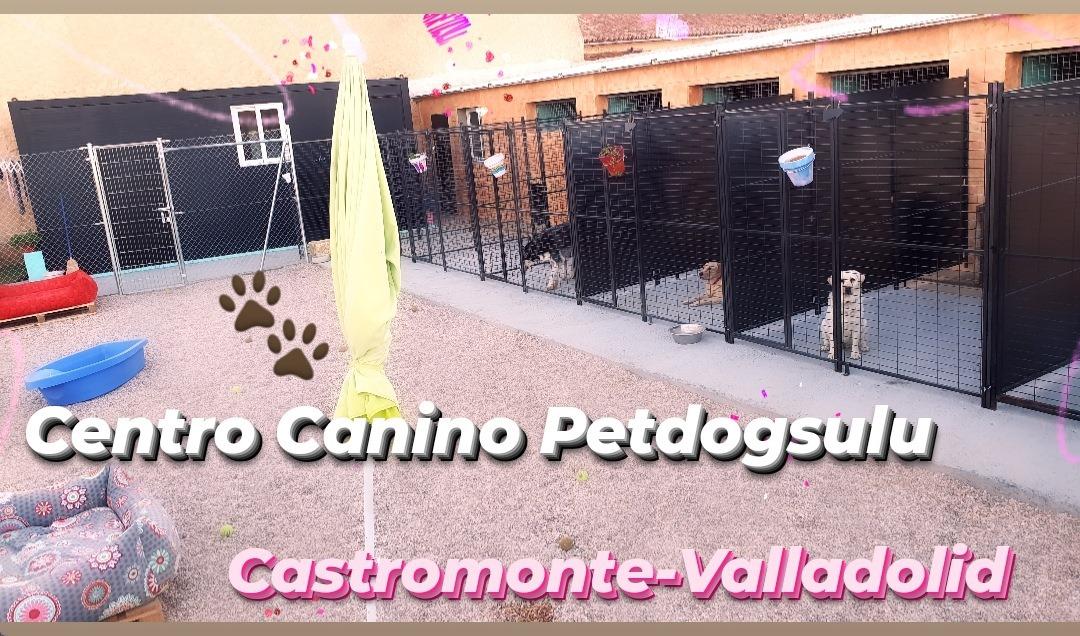 Images Centro Canino Petdogsulu