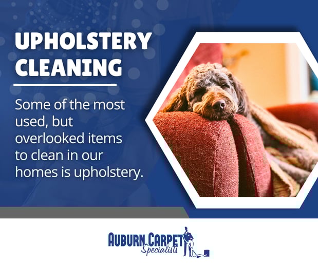 Images Auburn Carpet