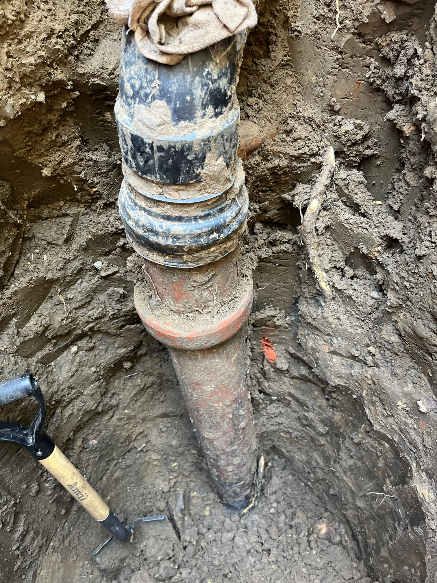 Team Rooter Plumbing - San Diego Image