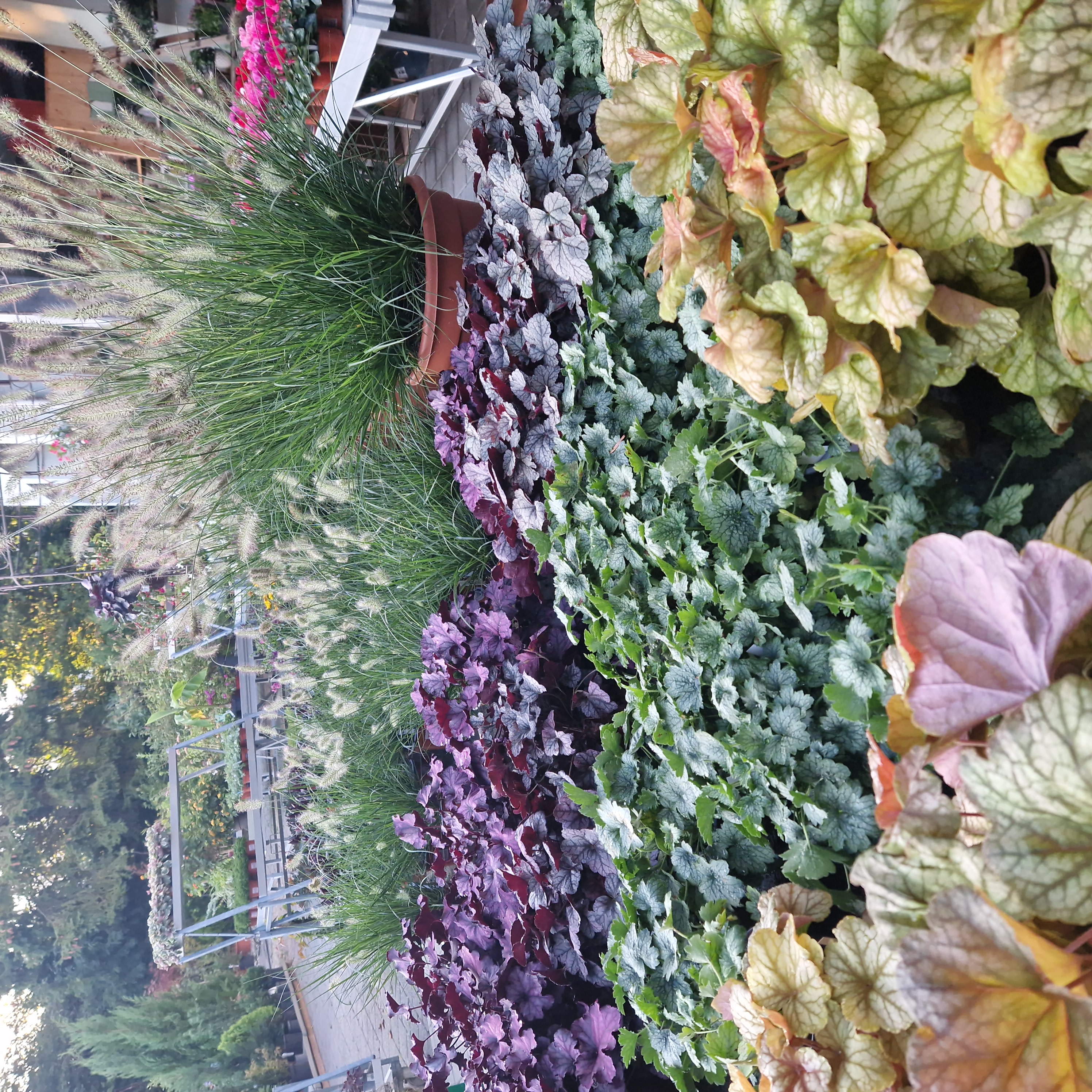 Bilder hollenstein blumengarten ag-Blumenshop-Gärtnerei-Gartenbau-Unterhalt-Grabpflege