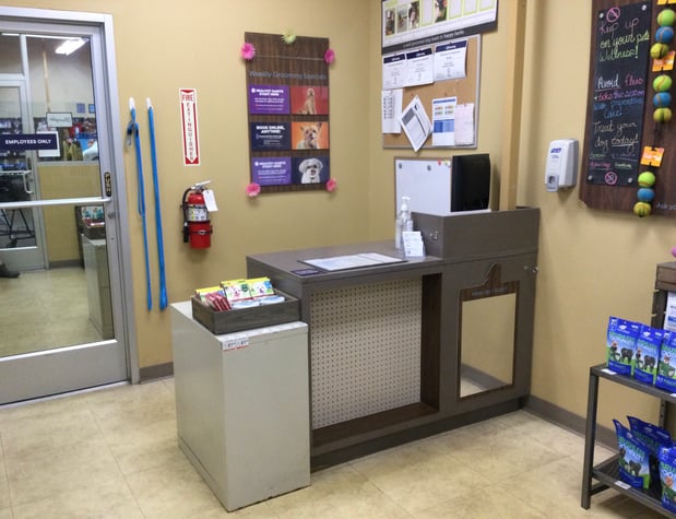 Images Petco Grooming