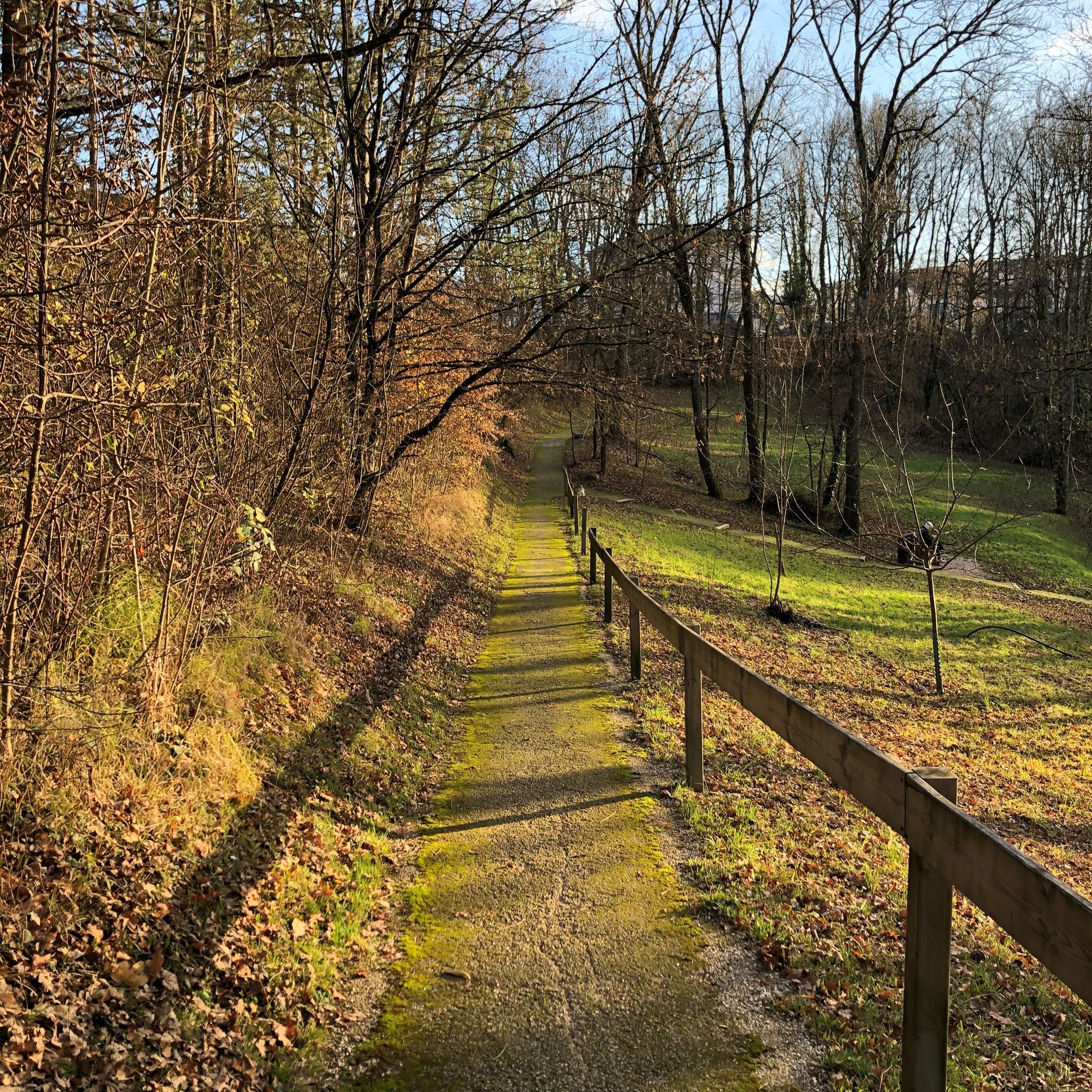 Bilder Cabinet Des Fayards