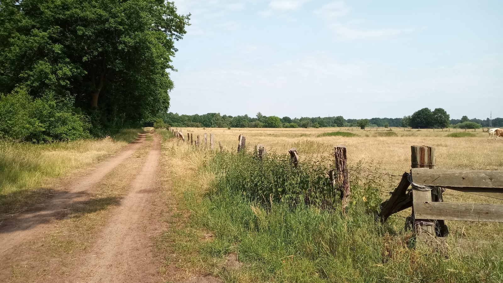 Bilder AUSZEIT An der Aller