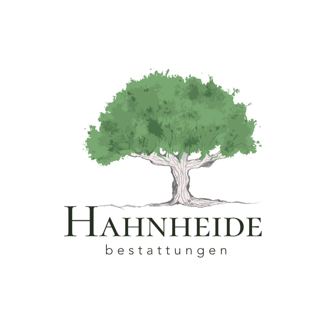 Bestattungen Hahnheide Eine Marke der Thies UG (haftungsbeschränkt)  