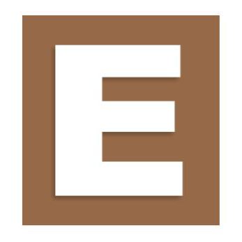 Eugster Holzbau AG Logo