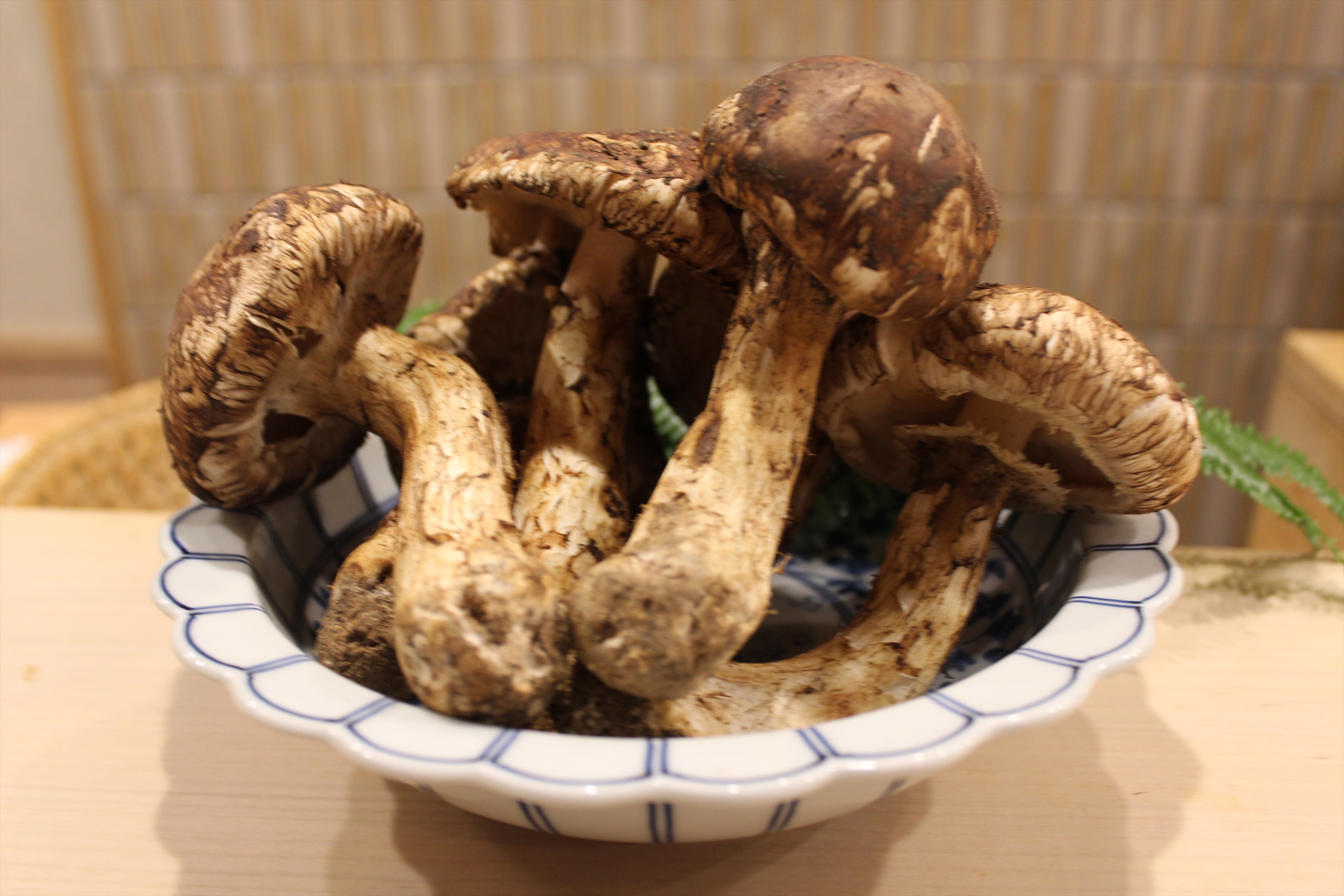 Images 寿司割烹ふじい