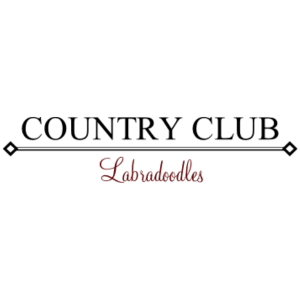 Country Club Labradoodles Logo