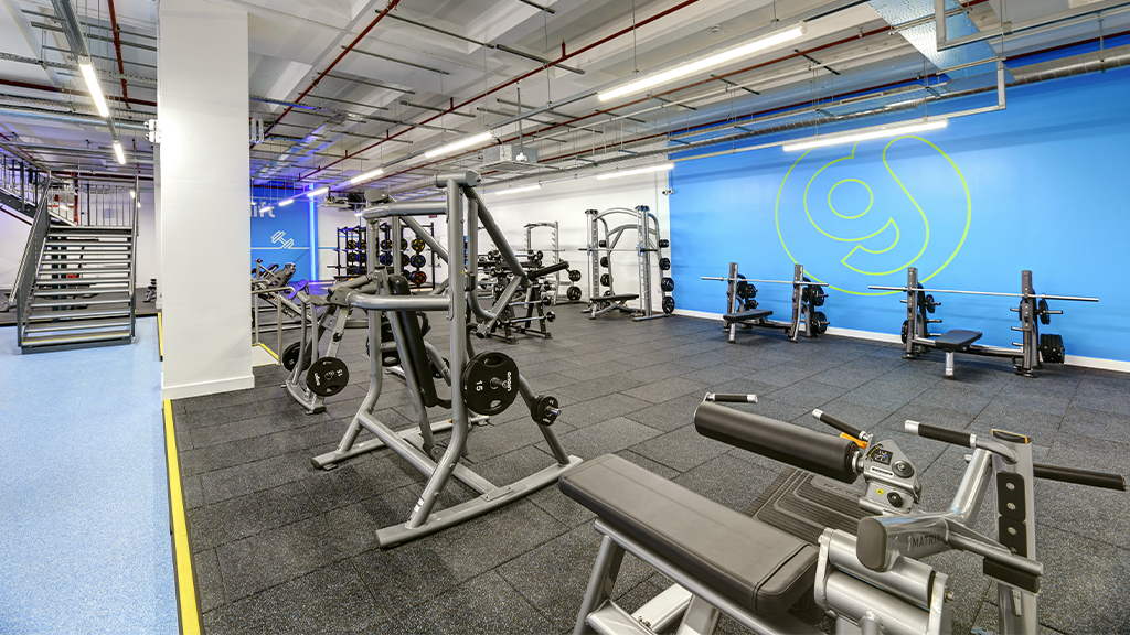 Free Weights Area
