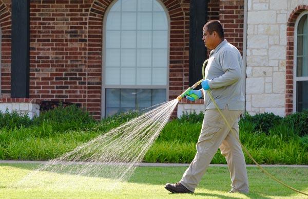 Images Home Run Pest & Termite Control