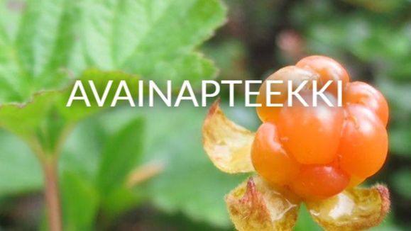 Images Euran apteekki