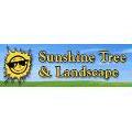 Sunshine Tree & Landscape