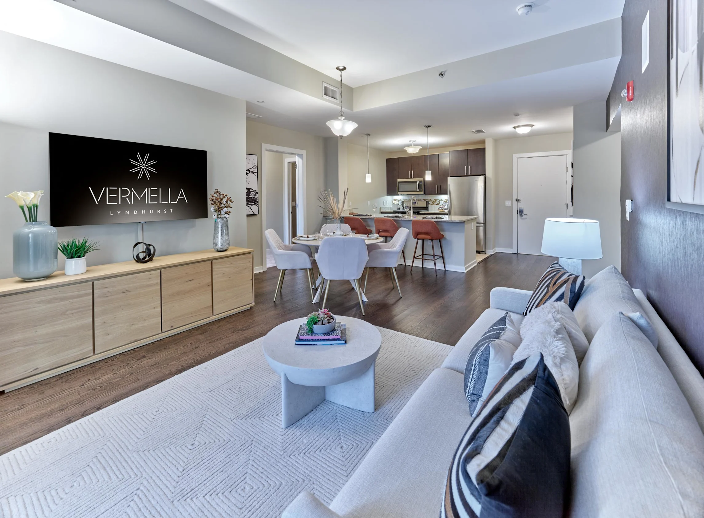 Modern Living Area