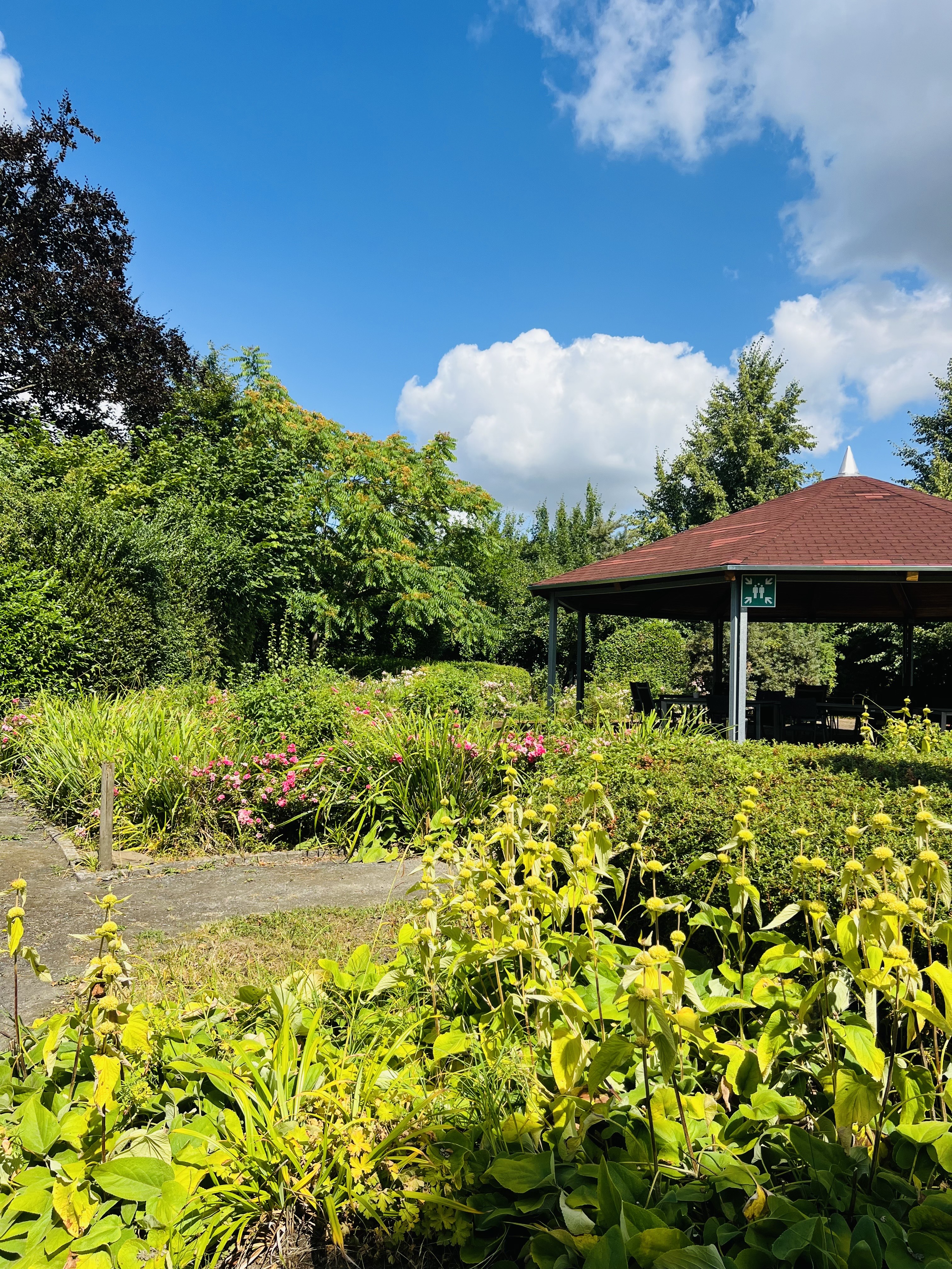 Bild 4 planting GmbH in Gelsenkirchen