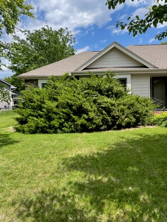 Images Martinez Tree Service