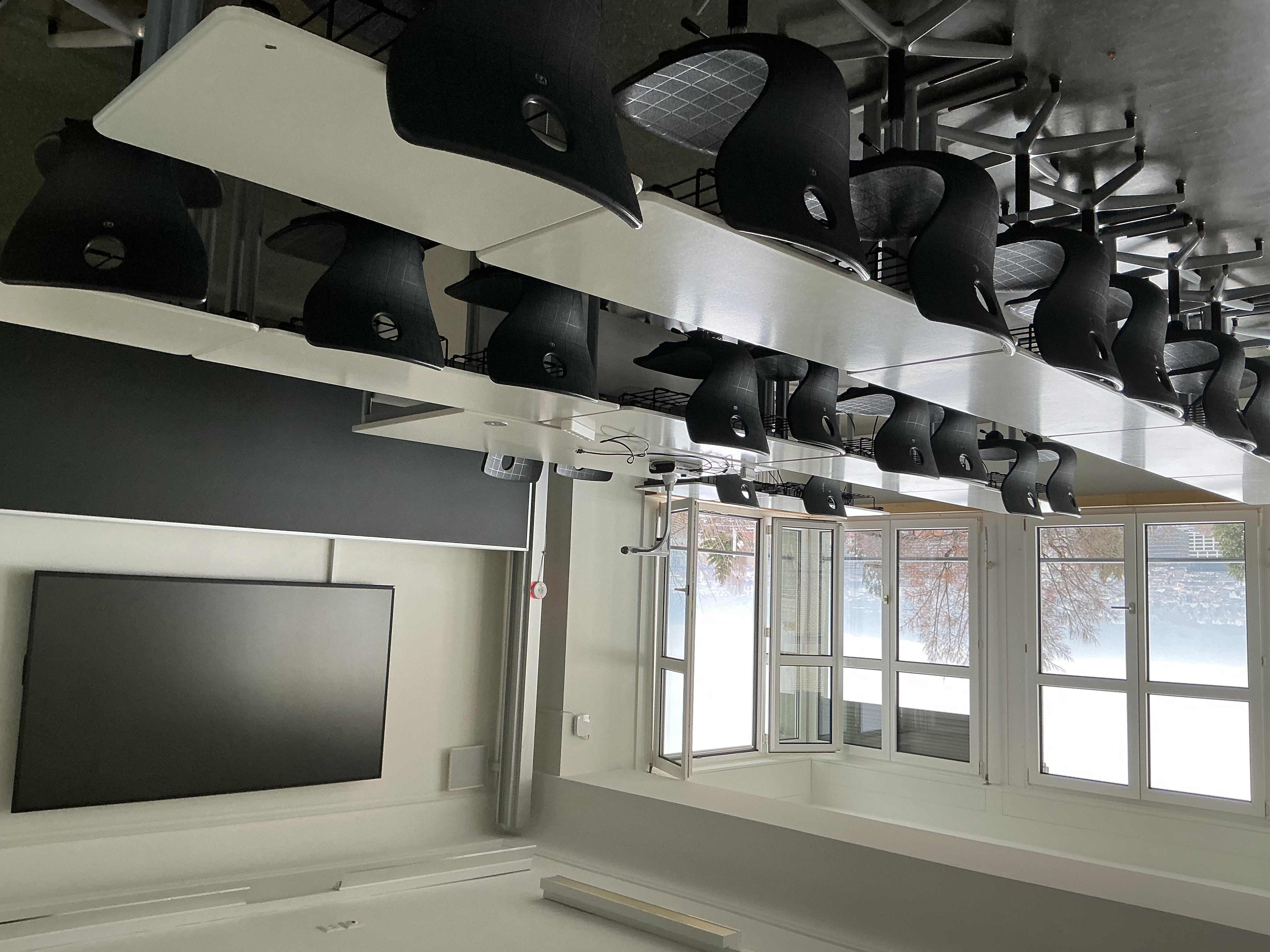 Bilder Neue Schule Zürich / NSZ