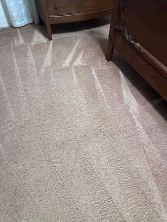 Images Van-Go Custom Carpet Cleaning