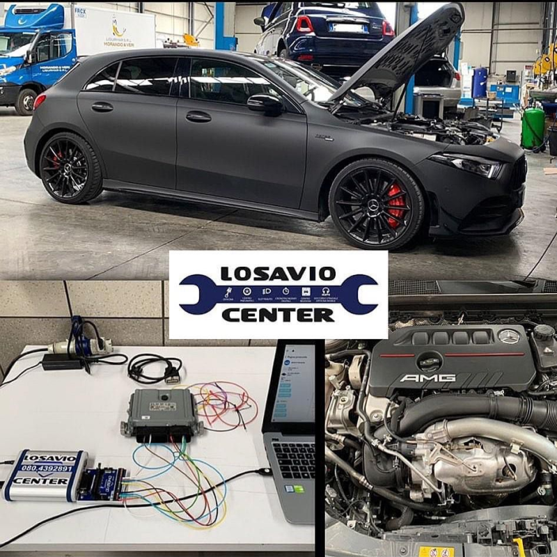 Images Losavio Center