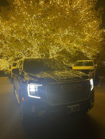 Images D5 Professional Services