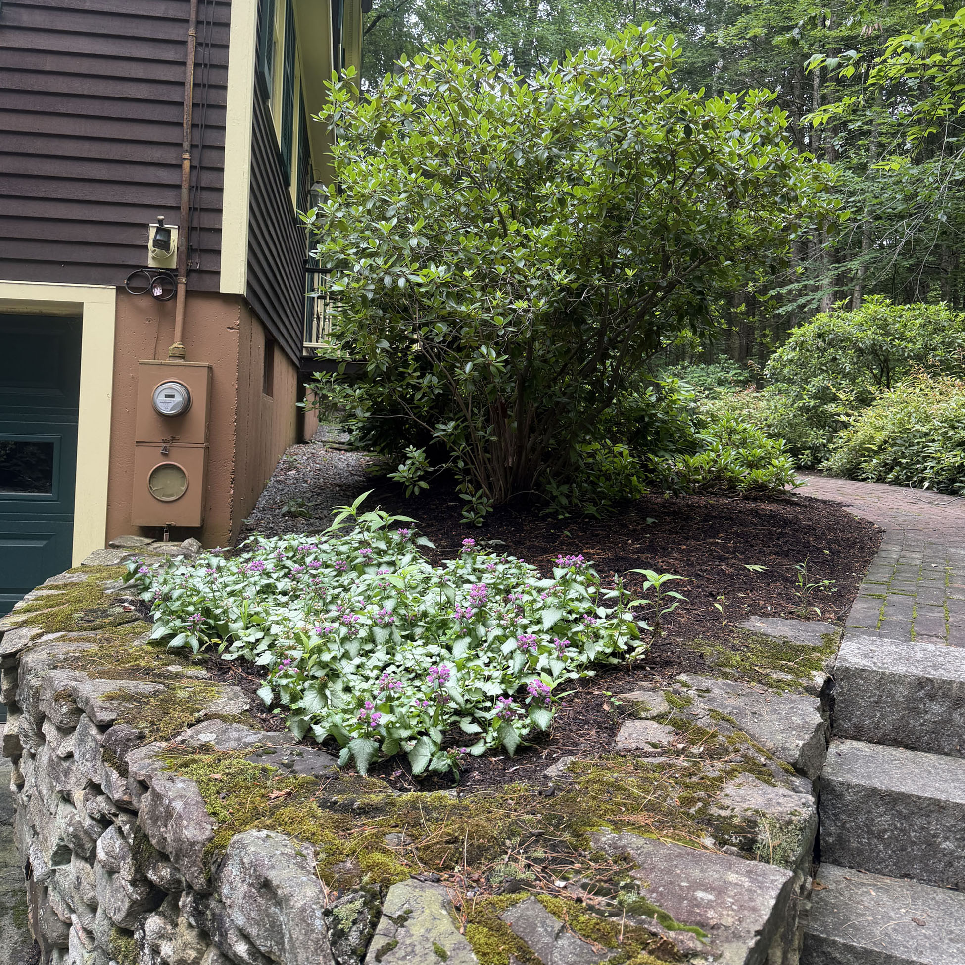 Greenleaf’s Garden Design