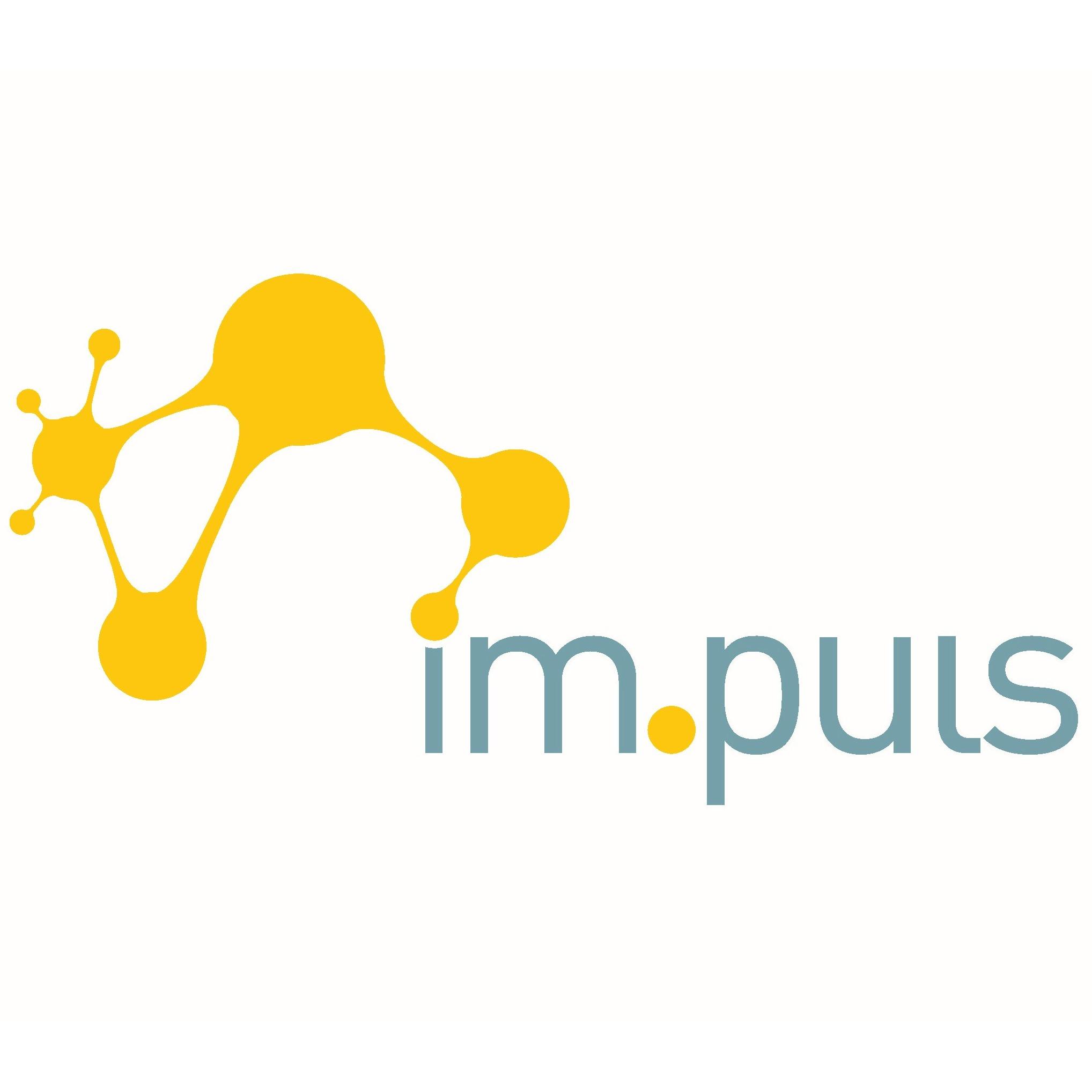 im.puls institut Logo