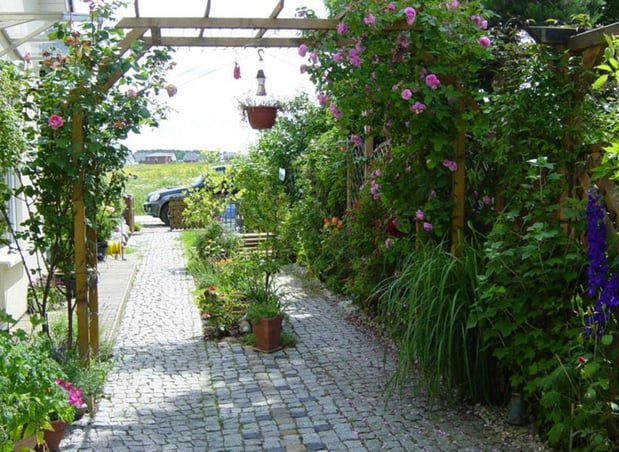 Kundenbild groß 4 Krickow Garten- und Landschaftsbau