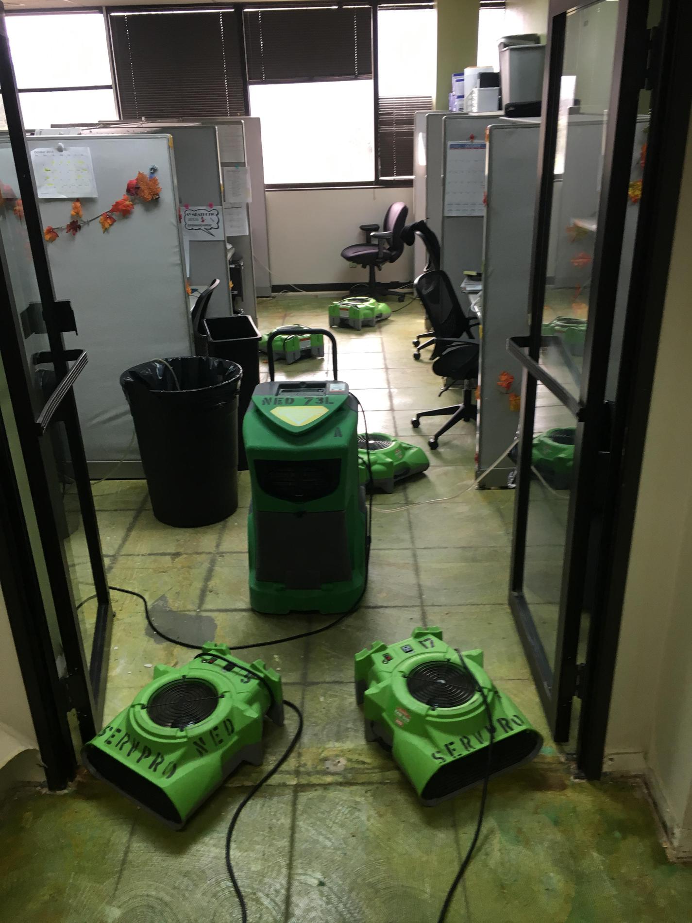 Images SERVPRO of Northeast Dallas