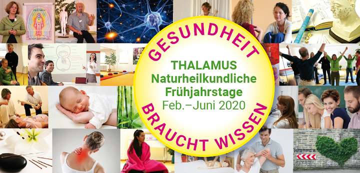 Bild 7 THALAMUS Heilpraktikerschule in Stuttgart