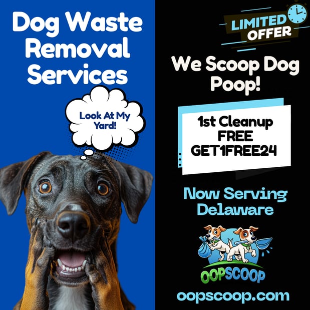 Images Oop Scoop Pet Waste Removal