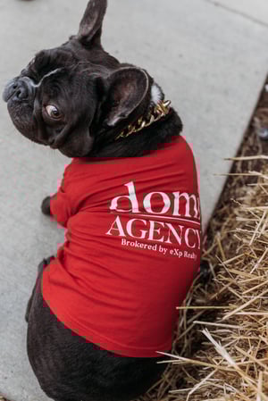 Images Drew Federau - State Farm Insurance Agent