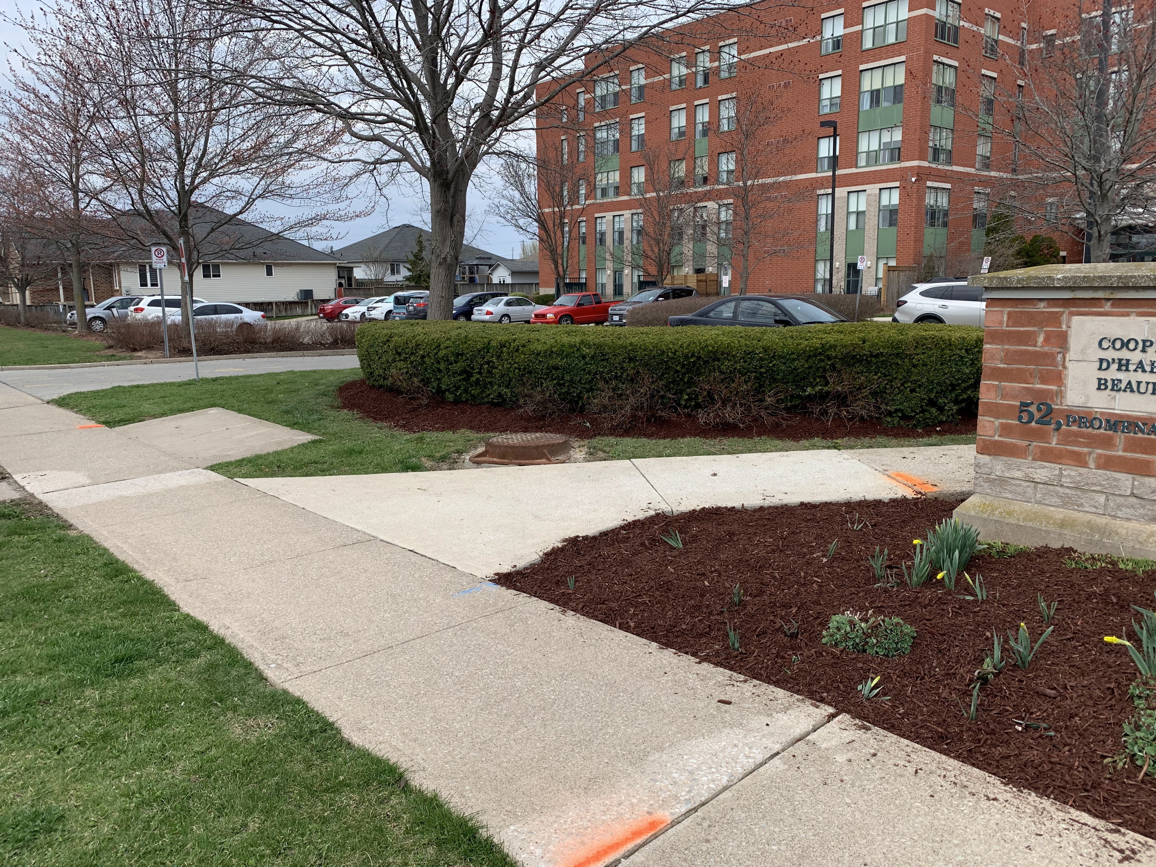 Images VanDuzen Lawn Care