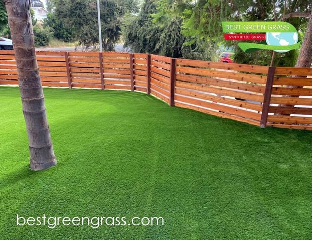 Images Best Green Grass