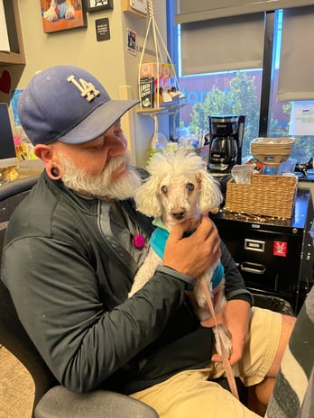 Images VCA West Los Angeles Animal Hospital