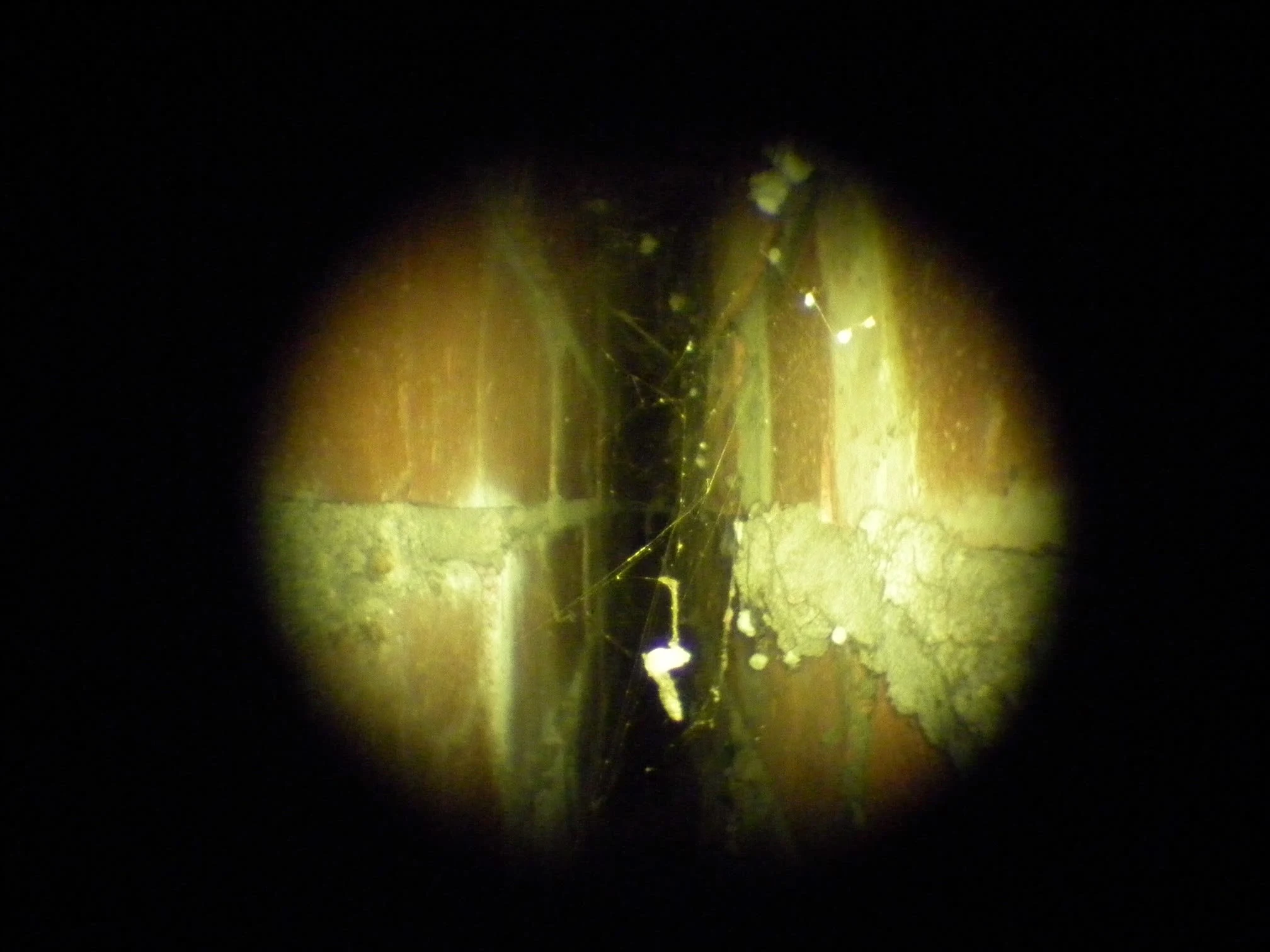 Images Damp Detectives