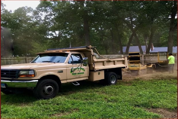 Images Evergreen Tree Service