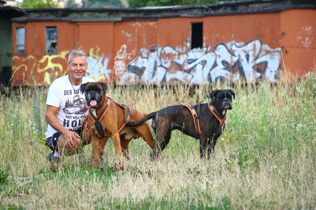 Boxerzwinger vom Wettiner Eck, Bauernweg 2 in Windischleuba