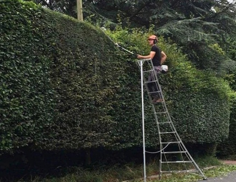J.D’S Gardening & Tree Service 6