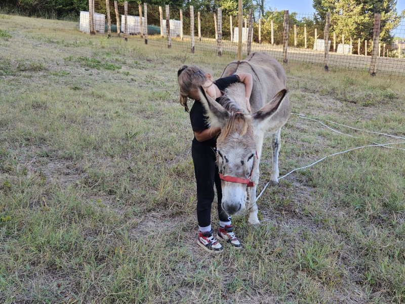 Images Altheca azienda agricola