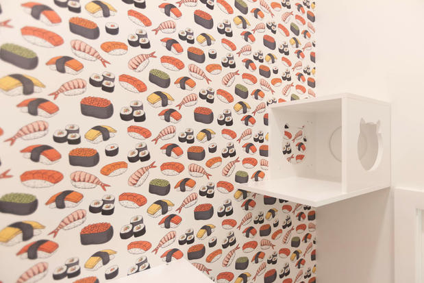 Images Cozy Cat Suites