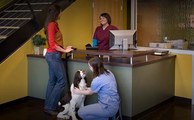 Images South Asheville Veterinary Emergency & Specialty