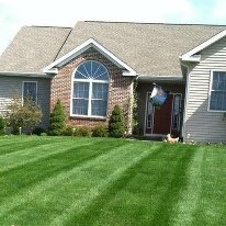 Needham's Leaf & Lawn Services
