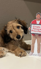 Images John Cole - State Farm Insurance Agent