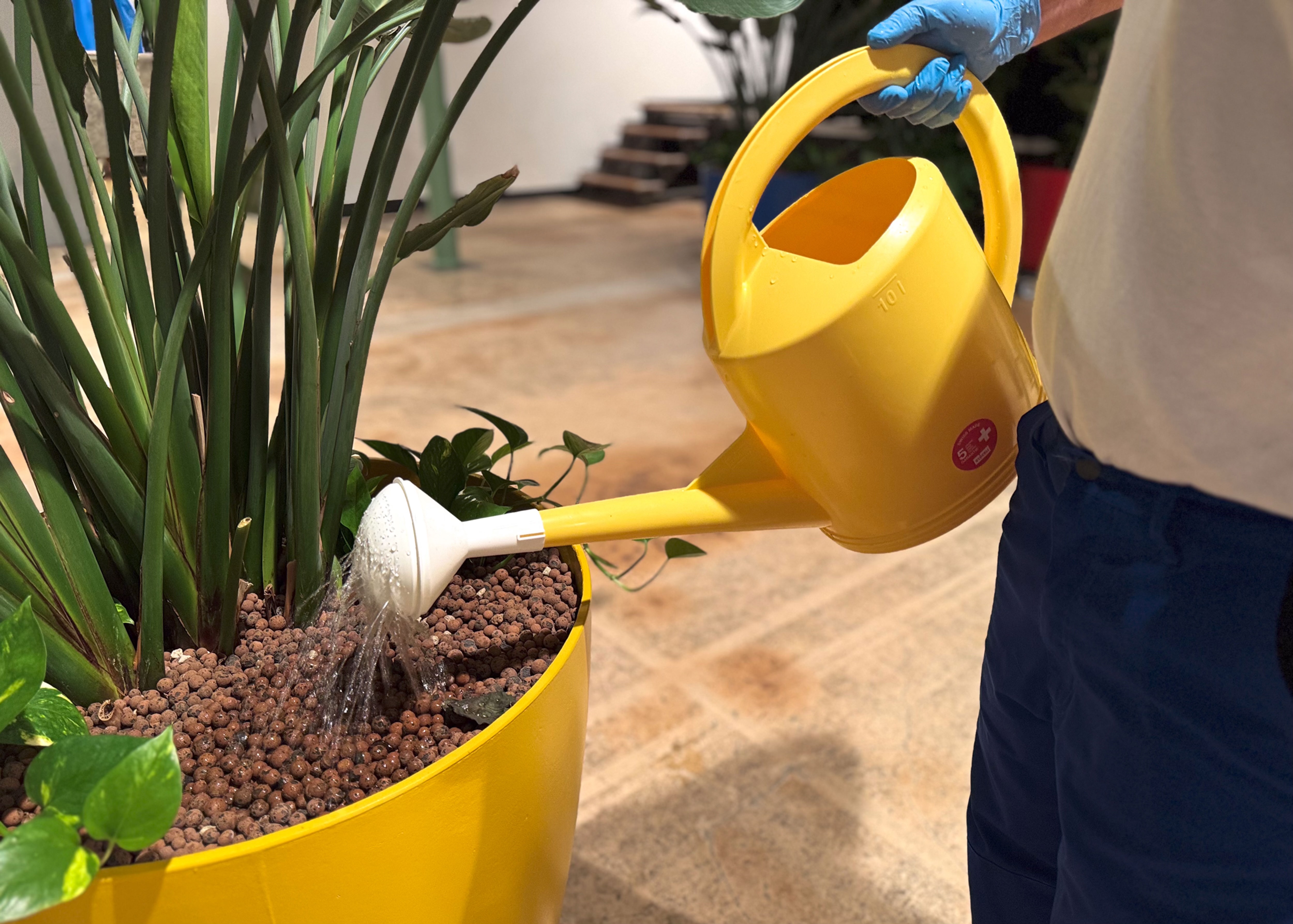 eazyclean, Wigartenstrasse 2 in Fällanden