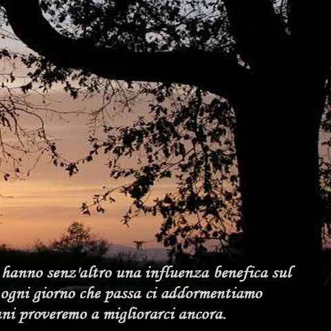 Images Bed & Breakfast  Giannetti affittacamere