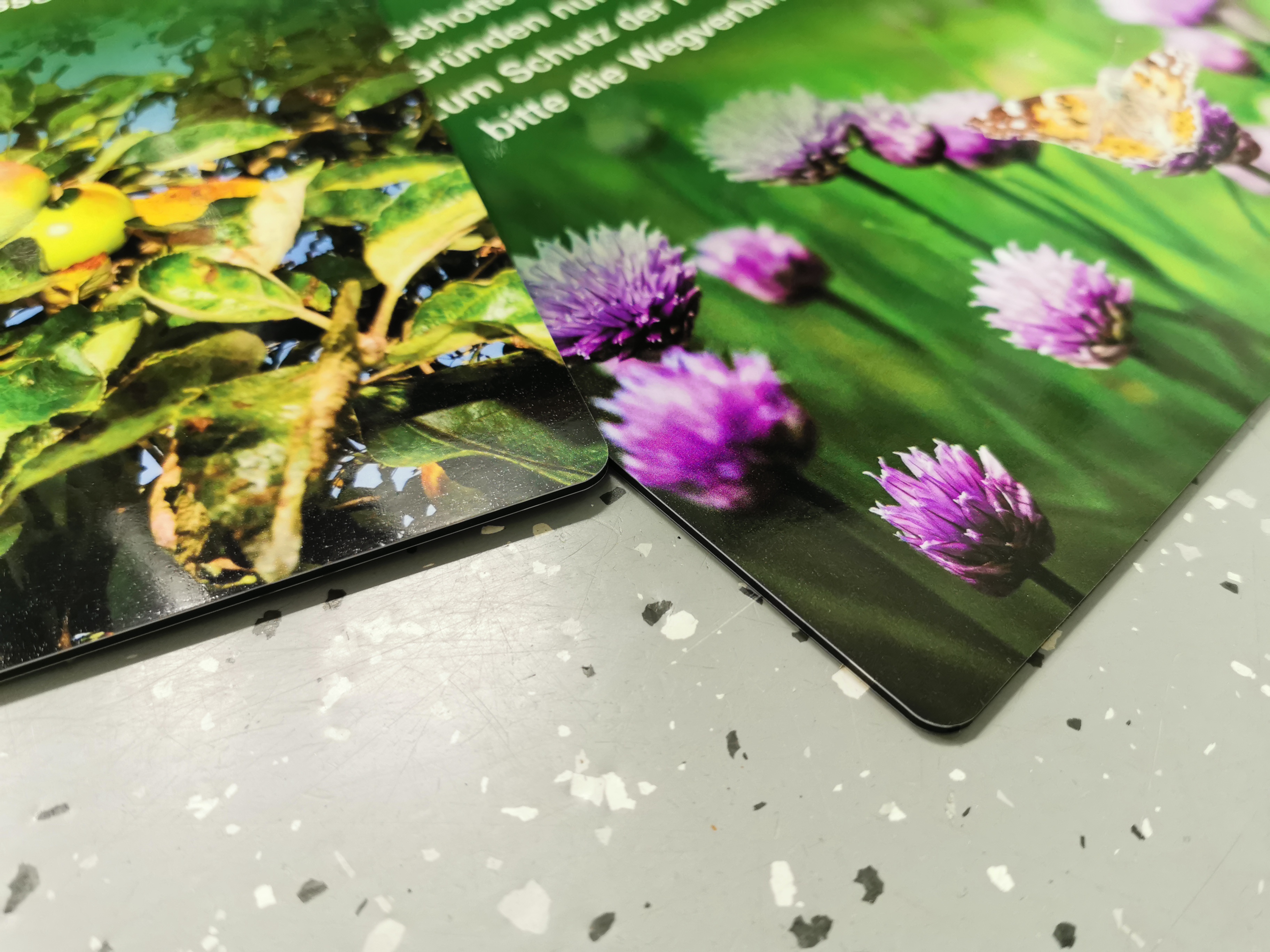 Bild 18 von House of Colors